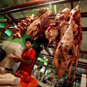Penjualan Daging Sapi di Jakarta Anjlok 40% Gara-gara Harga Melambung
