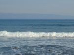 Cimaja, Pantai Favorit Peselancar di Pelabuhan Ratu