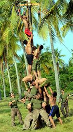 Saat Marinir AS Ikut Lomba Panjat Pinang dan Balap Karung
