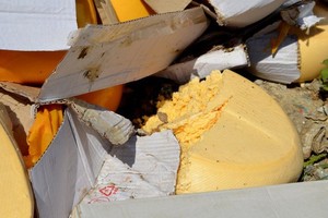 Tunjukkan Protes, Presiden Rusia Musnahkan Seluruh Makanan dari Barat
