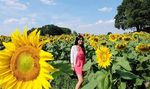 10 Foto Terheboh: Gempita Marten Ngegemesin, Gaya Baru Agnez MO