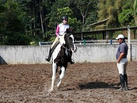 Perempuan berusia 22 tahun itu mengaku ingin mengikuti kejuaraan  walk trot senior di Bogor.