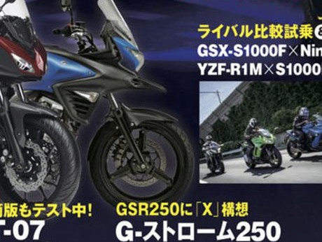 Suzuki Kembangkan V-Strom Versi Imut, 250 cc?