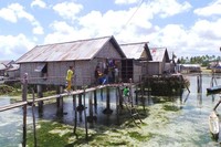 Suku Bajo adalah pengembara lautan. Lihatlah keunikan rumah mereka. Suku Bajo membuat rumah di atas karang (Bahtiar/detikTravel)
