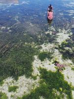 Sekeping Surga Jatuh di Wakatobi