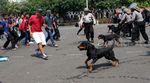 Polisi Bentrok dengan Demonstran