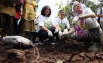 APP Restorasi Sejuta Hektar Hutan Indonesia