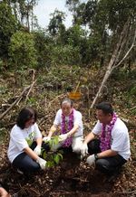 APP Restorasi Sejuta Hektar Hutan Indonesia