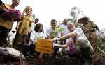 APP Restorasi Sejuta Hektar Hutan Indonesia