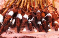 Barisan tikus yang sudah dibakar dan dijadikan sate. Harga yang kecil adalah Rp 25 ribu sedangkan yang besar Rp 35 ribu (Shafa/detikTravel)
