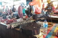 Daging ular juga digelontorkan saja di sini. Ularnya pun besar, bisa sampai sebesar paha manusia dewasa. Untuk satu kilogram dihargai Rp 40 ribu (Shafa/detikTravel)