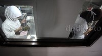 Para pekerja tengah mempersiapkan benih pohon kayu yang akan dikembangkan.