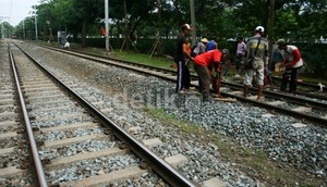 Selain Papua, Sulawesi dan Kalimantan Akan Punya Ribuan Kilometer Rel Kereta