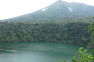 Menguak Misteri Buaya Putih di Danau Tolire Besar