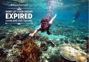 Aneka Spot Snorkeling & Diving Keren di Maluku Utara