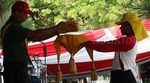 Paskibraka Latihan Pengibaran Bendera Merah Putih