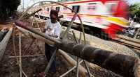 Penjual mengamplas batang pohon pinang yang akan dijual di kawasan Tanjung Barat, Jakarta Selatan.