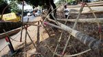 Jelang HUT RI, Penjualan Pohon Pinang Meningkat