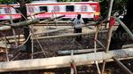 Jelang HUT RI, Penjualan Pohon Pinang Meningkat