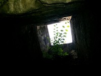 Ada satu ventilasi udara yang dibuat di bagian atas bunker. Kini dinding lubang itu ada yang ditumbuhi lumut dan tanaman lain (Kurnia/detikTravel)