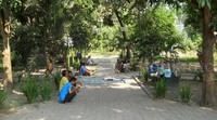 Di Gajah Wong Educational Park banyak ditanami tanaman keras yang berfungsi sebagai pelindung dan tanaman perindang. Namun ada pula tanaman buah-buahan seperti mangga dan rambutan yang ditanam di tempat itu. Lampu penerangan di tempat itu juga menggunakan sistem panel surya. Tempat parkir sepeda juga disediakan. Sedangkan untuk parkir sepada bisa ditempat di pinggir taman.