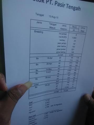 Ini Bukti Feedloter Kurangi Pasokan Sapi ke Pasar