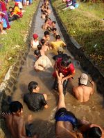 Lomba Tangkap Lele di Saluran Irigasi