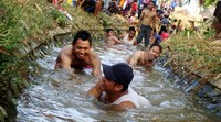 Warga harus berebut ikan lele yang disebar di saluran irigasi sepanjang 500 meter tanpa alat bantu apapun.
