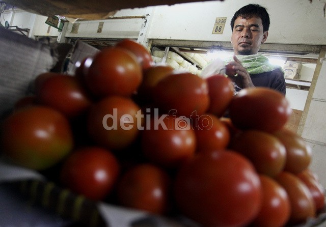 Cegah Gejolak Harga Tomat, Pemerintah Dorong Hilirisasi