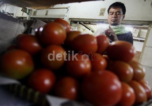 Cegah Gejolak Harga Tomat, Pemerintah Dorong Hilirisasi