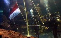 Chua berhasil mengibarkan sangsaka di bawah air. Pool/Gusmun/detikFoto.