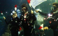 Bassist band Kotak‎ itu terlihat berpose dengan bendera merah putih di bawah air. Pool/Gusmun/detikFoto.