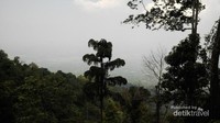 Hutan Gunung Aseupan yang masih cukup rapat Hutan Gunung Aseupan yang masih cukup rapat