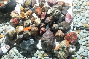 Demam Batu Akik Juga Sampai di Ende, NTT