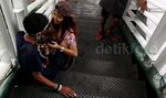 Potret Remaja Jakarta