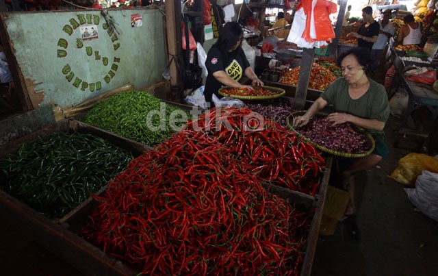 Harga Cabai Sedang Tinggi, Petani Senang