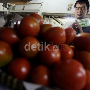 Sempat Anjlok, Harga Tomat Naik 25%