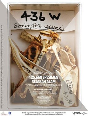 Selain Jakarta, Pameran Jejak Wallace Akan Dipamerkan di Jerman