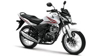 Honda Verza 150 dibekali mesin 150cc, 4-Langkah, SOHC, Silinder Tunggal, 5-Kecepatan yang menerapkan sistem suplai bahan bakar PGM-FI. Mesinnya powerful, responsif, ramah lingkungan serta menghasilkan konsumsi bahan bakar terhemat di kelasnya, yaitu 48 km/liter (EURO 2) dan 45.25 km/liter (EURO 3) berdasarkan hasil metode ECE R40. Ist/Honda.
