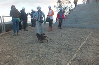 Tingkah mereka sungguh nakal dan bikin sebal. Mereka kerap mencuri pisang yang dijual oleh para pedagang di puncak Kelimutu. Biasanya mereka akan dihalau oleh para pedagang. (Wahyu/detikTravel)