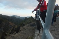 Tetapi nampaknya, wisatawan kita terlalu baik. Mereka membeli pisang dari pedagang kemudian memberi makan monyet-monyet ini. Padahal perilaku ini tidak baik juga untuk para monyet karena mereka akan ketergantungan kepada para wisatawan untuk makan. (Wahyu/detikTravel)