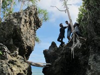 Gua karang ini kira-kira setinggi 15 meter dan bisa dipanjat dengan berhati-hati. Maklum, tidak ada alat pengaman di jalur menuju gua (Shafa/detikTravel)