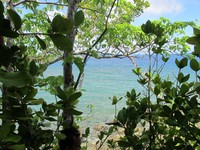 Pemandangan indah dari gua. Karena letaknya di atas, pemandangan perairan yang indah pun jadi bayaran saat naik ke atas gua ini (Shafa/detikTravel)