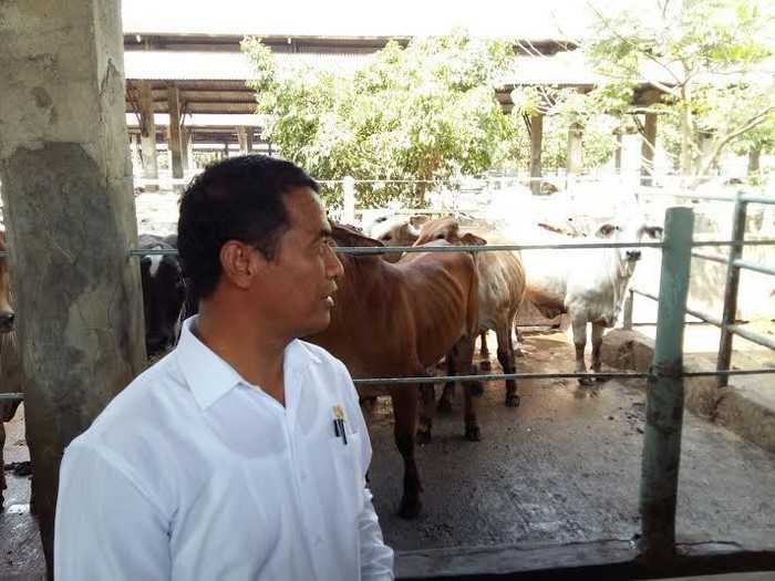 Mentan Amran Kumpulkan Pengusaha Feedloter Sapi di Ragunan