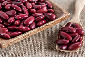 Ini Perbandingan Nutrisi Kacang Hijau dan Kedelai dengan Daging Sapi dan Ayam