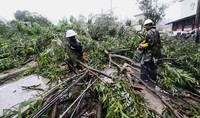 Direktur Eksekutif Badan Penanggulangan Bencana Nasional Filipina, Alexander Pama menuturkan, lima orang tewas terkubur bebatuan dan lumpur di wilayah Benguet. Sedangkan seorang pria tewas tertimpa pohon tumbang di dekat wilayah Ilocos Norte. Harley Palanchao/Reuters/detikFoto.