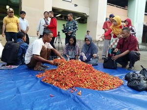 Cabai Rawit Tembus Rp 60.000/Kg Karena Ulah Spekulan