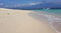 Kekayaan alam di Pulau Tabuhan bisa dilihat saat pertama kali menginjakkan telapak kaki di pasir putihnya.