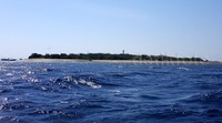 Ke depannya, Pemkab Banyuwangi akan menata pantai berpasir putih ini agar lebih cantik dan bersih sehingga wisatawan mancanegara bisa melakukan aktivitas seperti berjemur, snorkeling, dan kiteboarding.