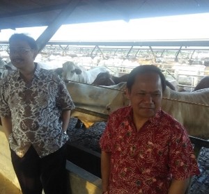 Ini Hasil Sidak Kementan ke Feedloter di Jonggol